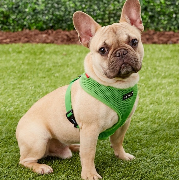 💚🐾 Puppia dog harness- lime green 🐾 💚 - Picture 1 of 13